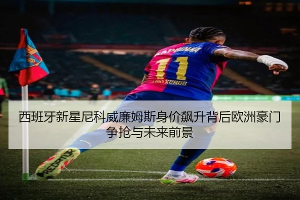 西班牙新星尼科威廉姆斯身价飙升背后欧洲豪门争抢与未来前景 - kaiyun
