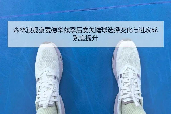 森林狼观察爱德华兹季后赛关键球选择变化与进攻成熟度提升 - kaiyun