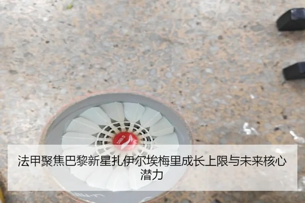 法甲聚焦巴黎新星扎伊尔埃梅里成长上限与未来核心潜力 - kaiyun